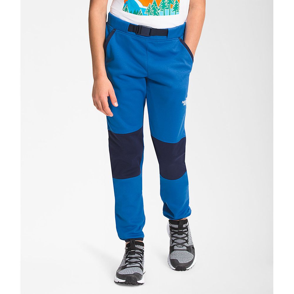 The North Face Joggers Boys Australia - The North Face Winter Warm Blue (FJM-473102)